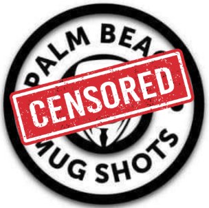 Palm Beach and Broward Mugshots llc