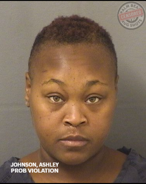 JOHNSON, ASHLEY MICHELLE