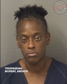 MURRAY, ANDREA SHAWNTEL