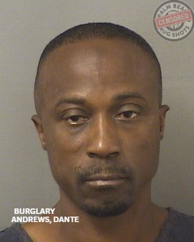 ANDREWS, DANTE RASHOD