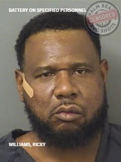 May be an image of text that says 'BATTERY ON SPECIFIED PERSONNEL PALM ALADRE BEA PENSORED G SHOTS WILLIAMS,RICKY WILLIAMS, RICKY'