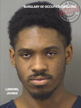 LARKINS, JOHNIE
