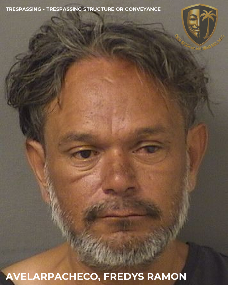 Avelarpacheco, Fredys Ramon